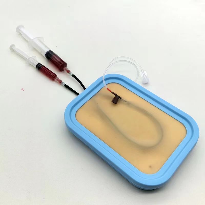 Venipuncture Training Kit Sili - Model Kit Store review and price