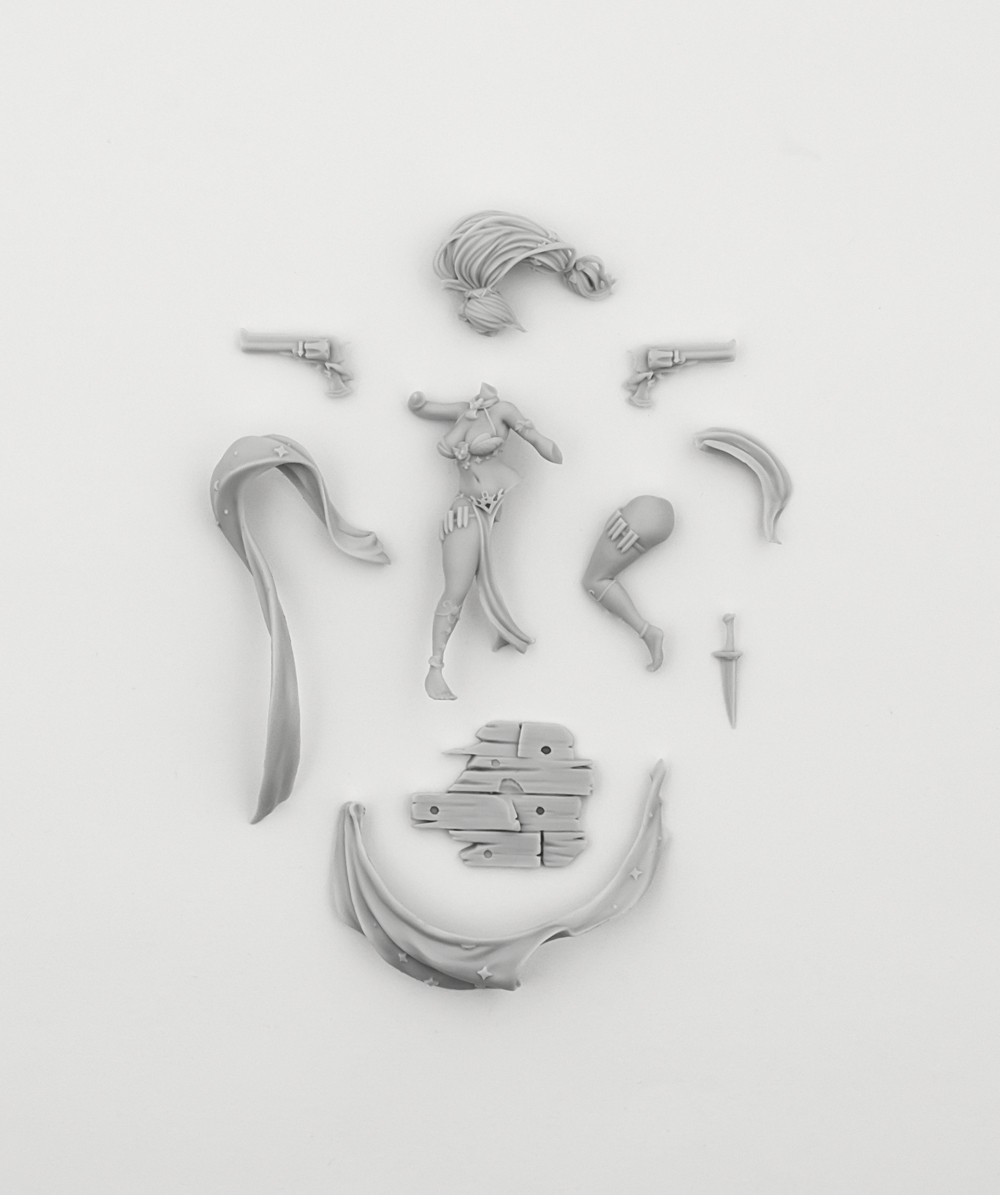 model kit resin kit  Imperial  - Model Kit Zvezda review and price