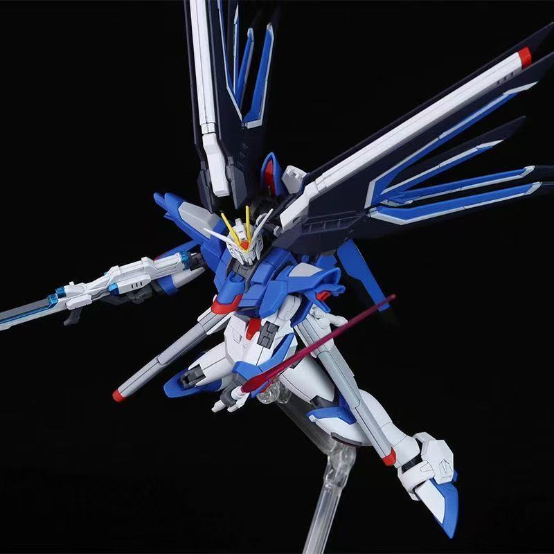 HG STTS-909 Rising Freedom Gun - Model Kit Gundam review and price